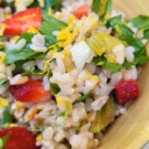 Farro primavera