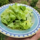L’insalata può farti gonfiare e ingrassare